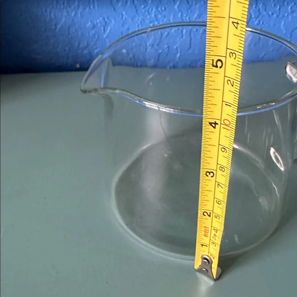 Glass Teapot with Black Lid and Silver Infuser